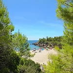 Ariana Villa *