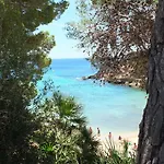 Ariana L'Ametlla de Mar