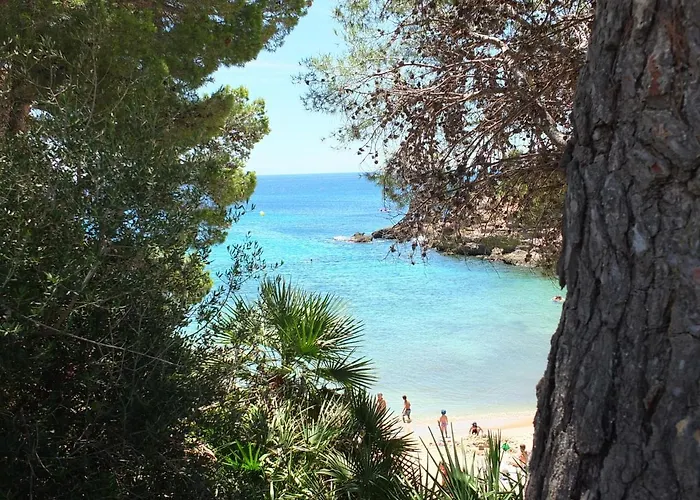Ariana L'Ametlla de Mar